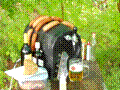 p6050009.jpg