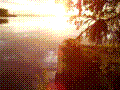 p6050024.jpg