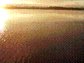 p6050032.jpg