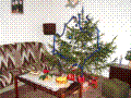 pc240217.jpg