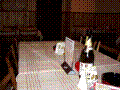 pc240220.jpg