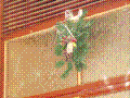 pc240221.jpg